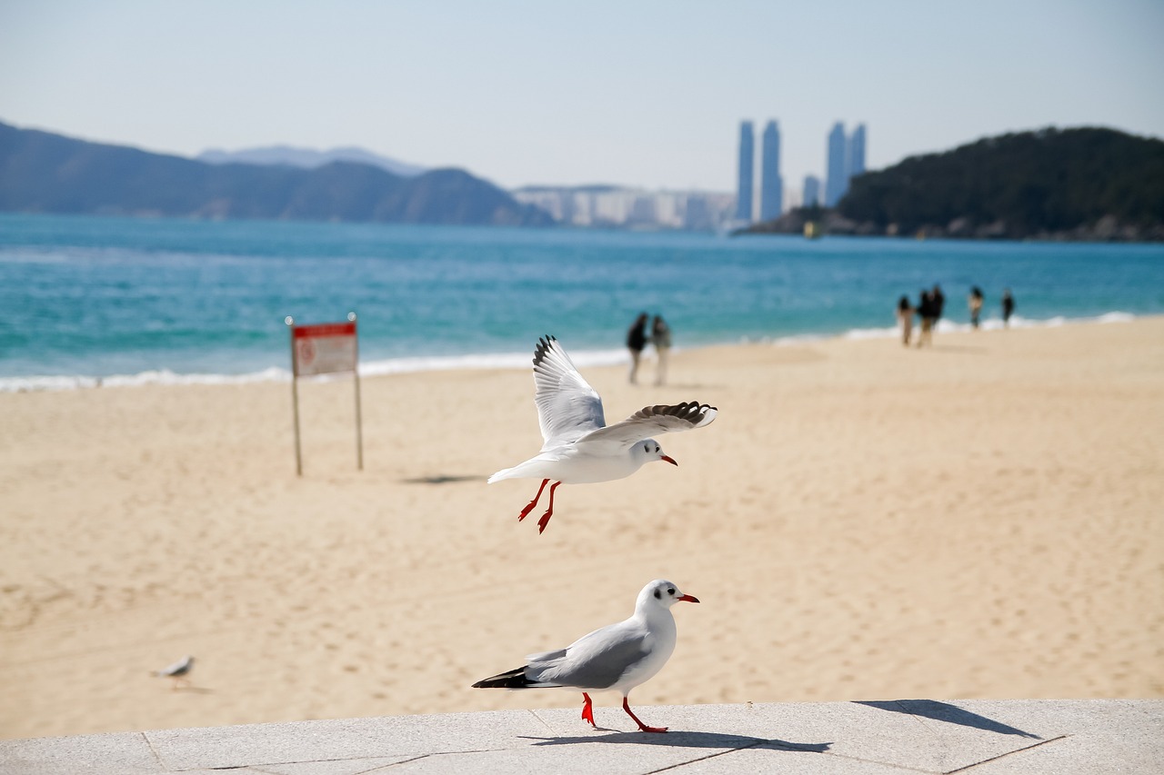 부산 러시아어학원