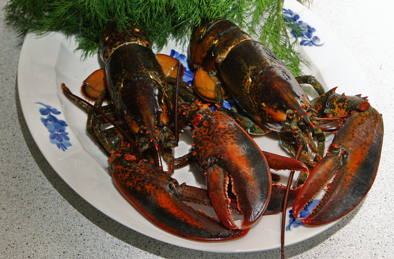 일산 랍스터