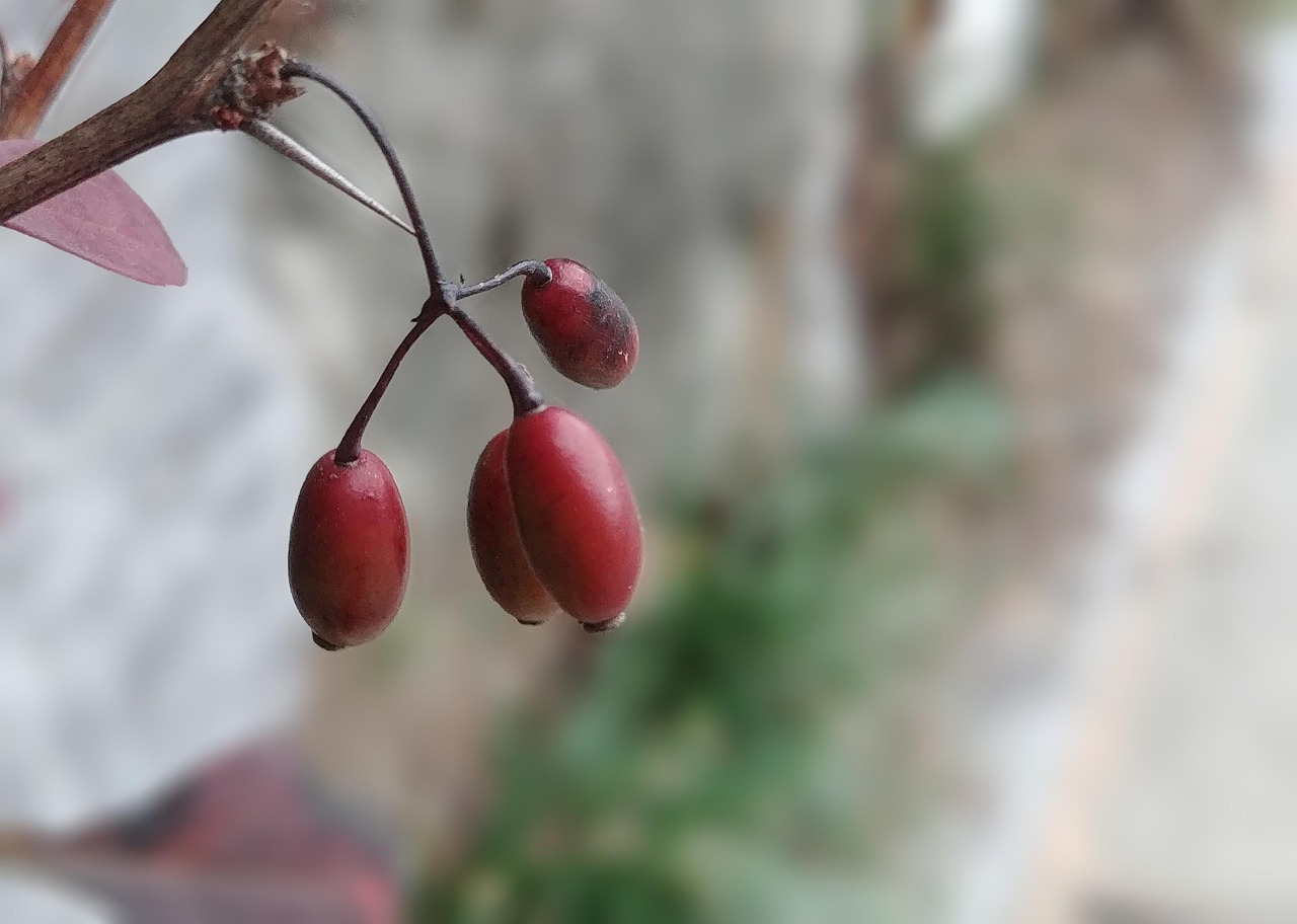 세종시 한식