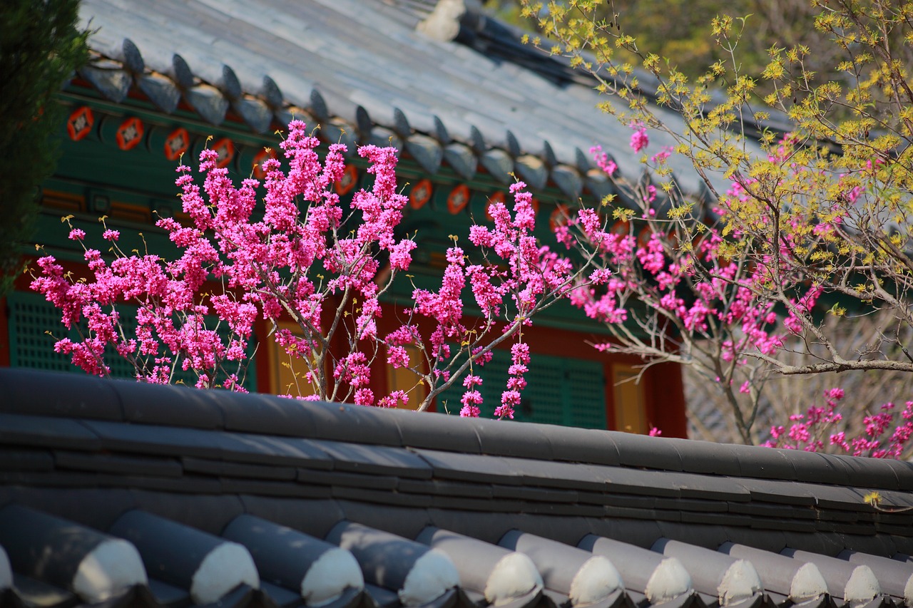 한옥독채