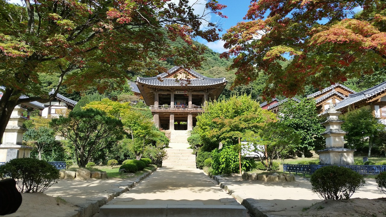 석사학위